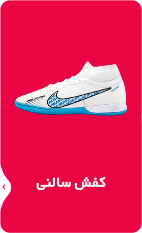 کفش سالنی